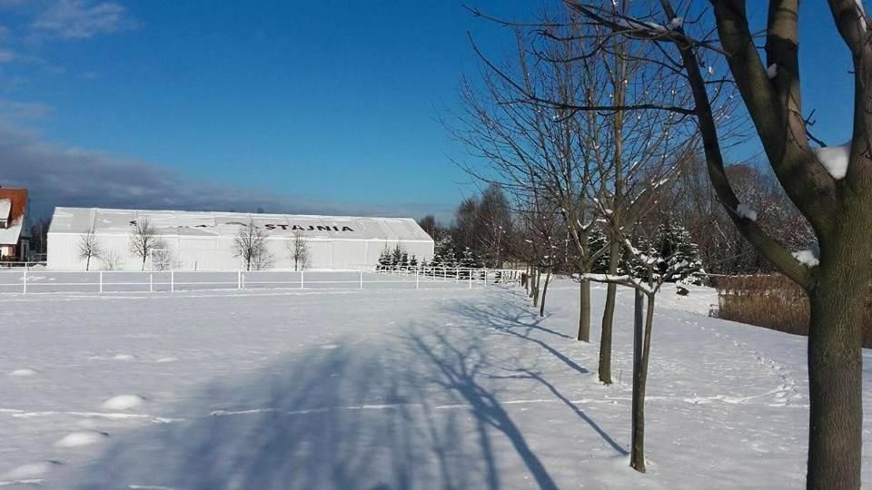 Отель Hotel Stara Stajnia Pleszew